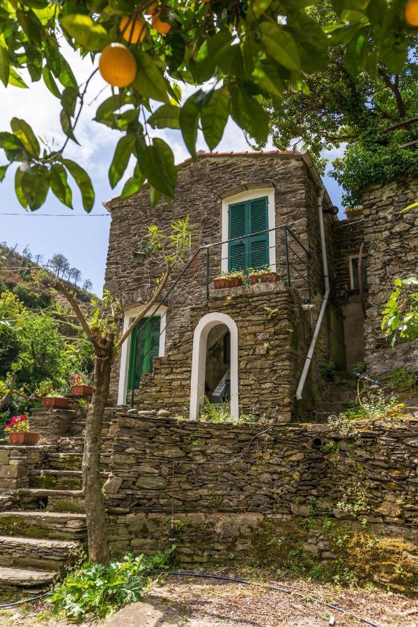Villa Smith Vernazza Eksteriør billede